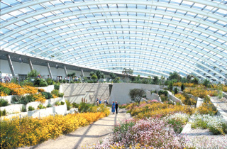 the great glassshouse interior, showing plants and underside of roof.